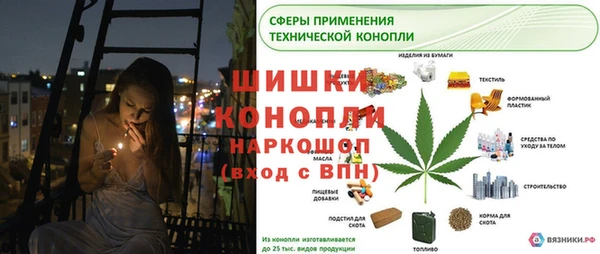 мяу мяу мука Белокуриха
