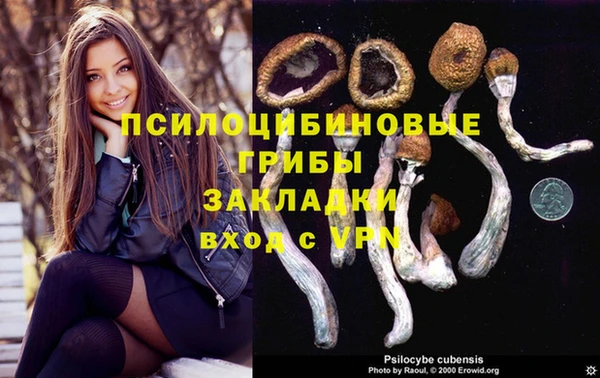 дживик Беломорск