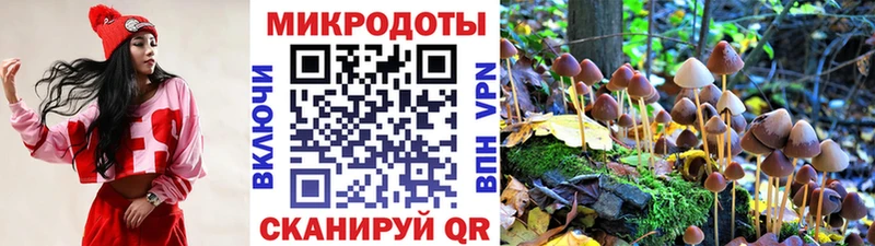 Псилоцибиновые грибы мухоморы  blacksprut tor  Ворсма 